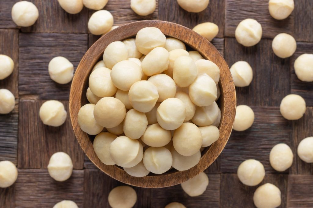 Noix de macadamia : tout savoir sur ce fruit à coque originaire  d'Australie, par Sophie Lohner - Enkamania